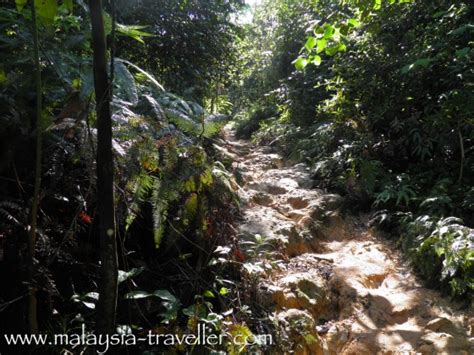 Ayer Hitam Forest Reserve - Alchetron, the free social encyclopedia