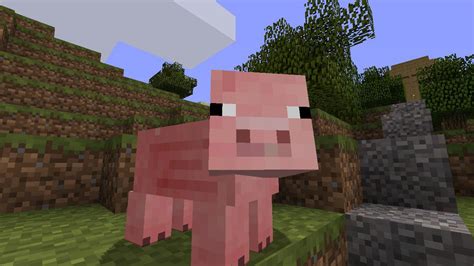 Image - Minecraft-pig.jpg - Minecraft Wiki