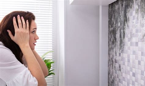 Mould Prevention Tips - NLR Mould Removal Brisbane