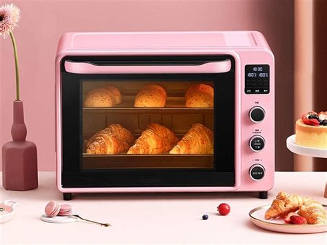 Best 6 Pink & Purple Toaster Ovens You Can Purchase In 2022