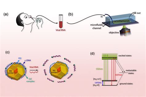 Sensor-based on quantum physics could detect SARS-CoV-2 virus - AI 4 ...