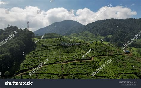 1,293 Puncak bogor Images, Stock Photos & Vectors | Shutterstock