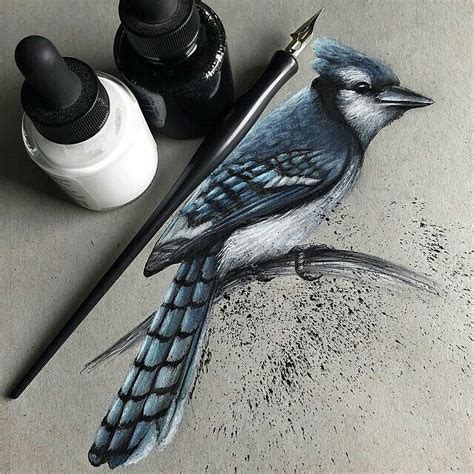 Beautiful Bird Drawing