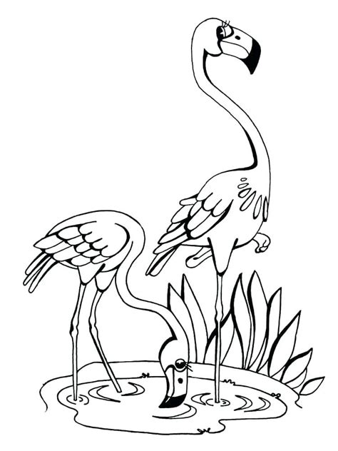 Simple Flamingo Drawing at GetDrawings | Free download