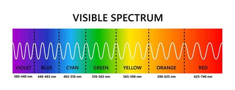 Visible light spectrum. Optical light wavelength. Electromagnetic ...