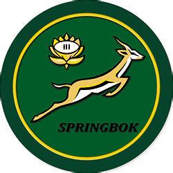 Q06 Springbok Rugby Logo Fridge Magnet | worldofwonder.co.za