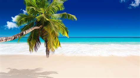 Caribbean Islands Wallpaper - WallpaperSafari