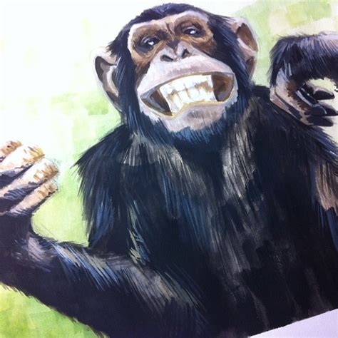 chimp smile | _____marcos | Flickr