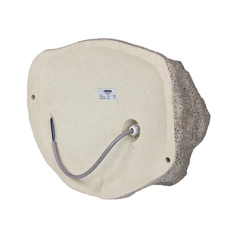 DSP636 30W Rock-shaped Garden Speaker - Guangzhou DSPPA Audio Co., Ltd.