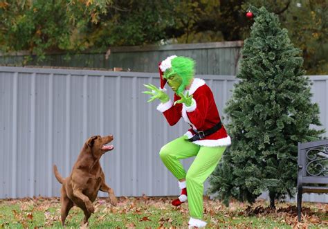 Last Year the Grinch Spooked Kids in Hilarious Post, Now Dogs get a Spook