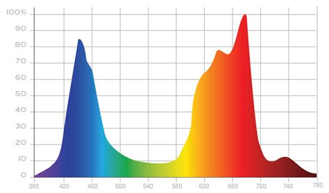 Full-Spectrum Grow Lights vs Targeted-Spectrum Grow Lights