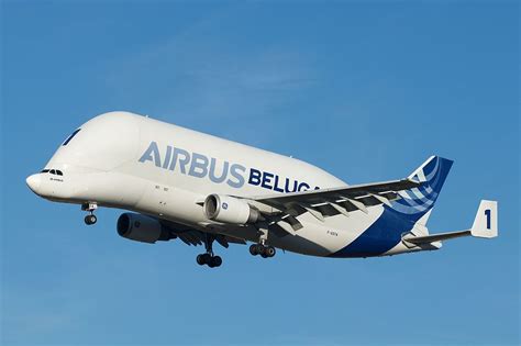 First-Ever Airbus Beluga Retired - Travel Radar - Aviation News