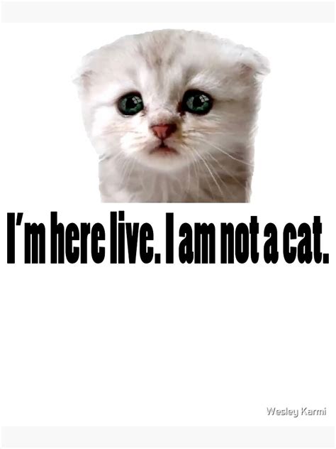 "Funny I am not a cat viral meme" Art Print for Sale by worldcut ...