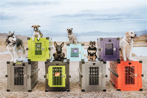 Impact Dog Crates | Strong & Safe Aluminum Dog Crates – ImpactDogCrates.com