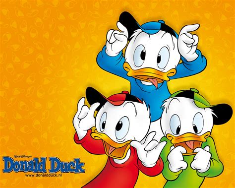 Donald Duck 3 | WallPapers