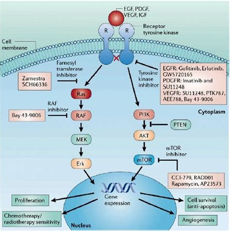 Tyrosine Kinase Inhibitors