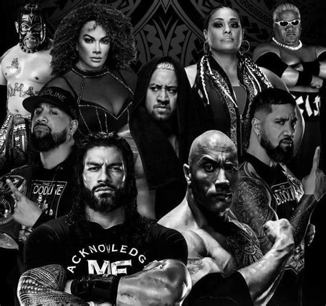 Umaga Nia Jax Jimmy uso Roman Reigns Solo Sikoa Nia Jax Tamina Rikishi Jey uso & The Rock