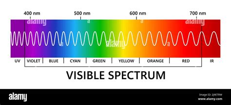 Visible Light Spectrum Overview And Chart, 56% OFF