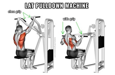 Close Grip Lat Pulldown vs Wide Grip for a Bigger Back