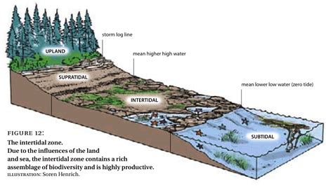 Ecological Concepts, Principles and Application to Conservation