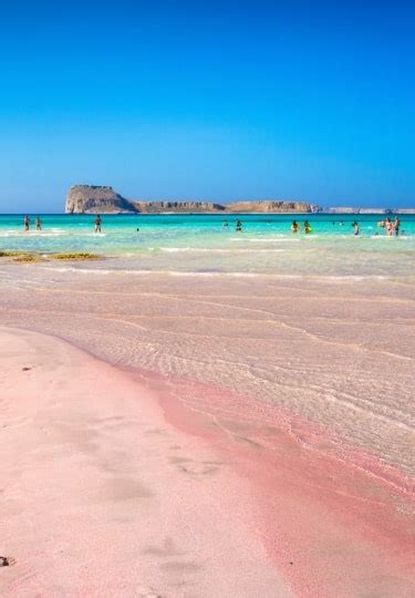 10 Gorgeous Pink Sand Beaches Around the World | Celebrity Cruises