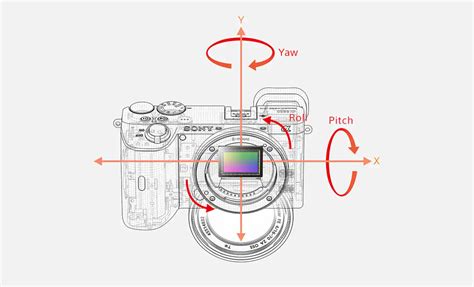 Sony A6100 vs A6400 vs A6600 - The 10 main differences - Mirrorless ...