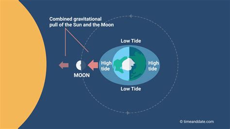 What would happen if the moon actually disappeared?