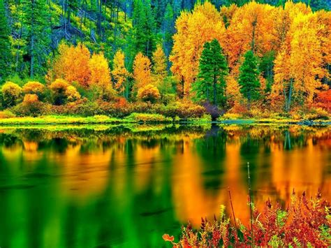 Fall Foliage Desktop Wallpaper - WallpaperSafari