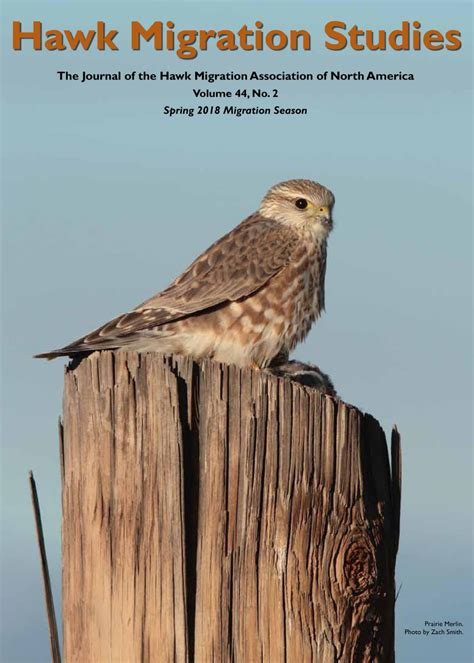 Hawk Migration Studies – Hawk Migration Association of North America