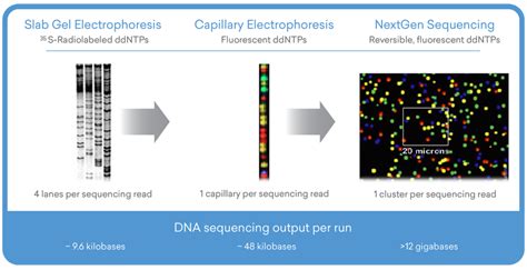 Sanger Method: The MP3 Player of Sequencing