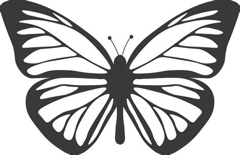 Premium Vector | Butterfly isolated on white butterfly illustration butterfly isolated on white ...