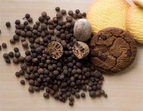 Recipes with Allspice | Petite Gourmets