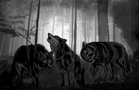 Wolf Pack by mail4mac on DeviantArt