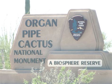 Epinephrine Adventures: Organ Pipe National Monument