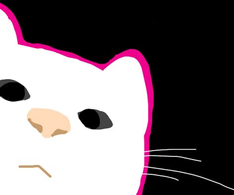 Vibing Cat Meme - Drawception