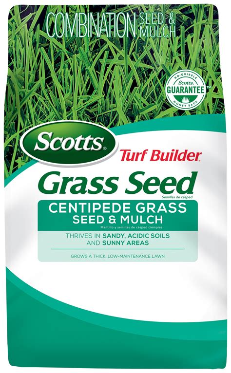 Centipede Grass Seed at Lowes.com