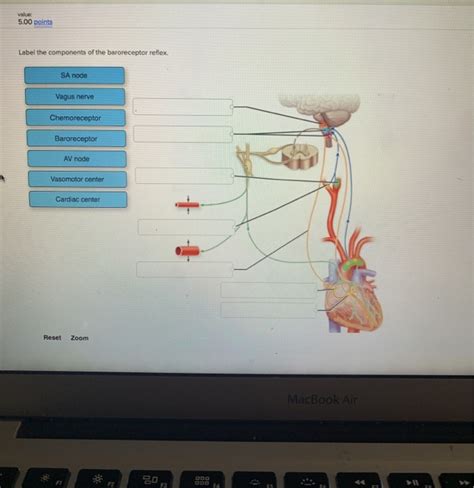 Solved value: 5.00 points Label the components of the | Chegg.com