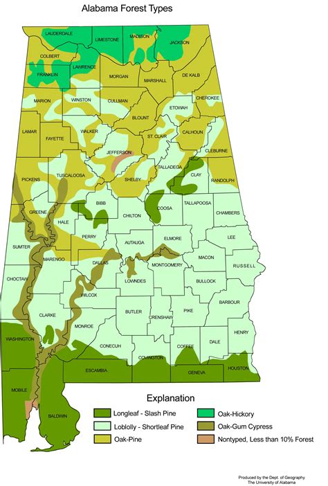 Alabama Forest Types - MapSof.net