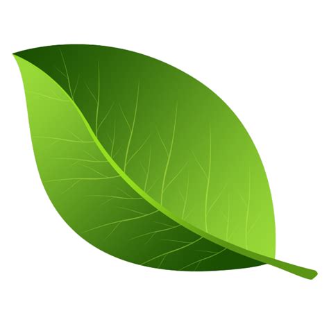 Green Leaf Images, Leafy Backgrounds, Botanical Illustrations Transparent PNG