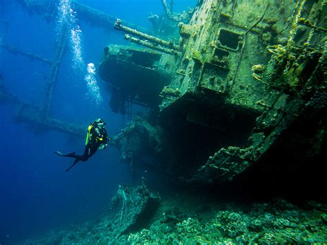 Diving the Red Sea in Aqaba with Deep Blue Dive Center • The Blonde Abroad