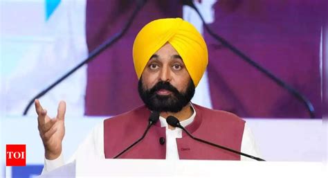 Punjab CM Bhagwant Mann claims AAP will win all 13 Lok Sabha seats | India News - Times of India