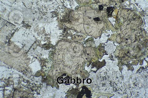 Gabbro. Thin section in plane polarized light. 32X - Gabbro - Plutonic rock - Igneous or ...