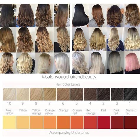 The Best Hair Color Chart with All Shades of Blonde, Brown, Red & Black