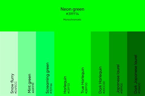 Neon Green Color: Codes, Meaning and Matching Colors - Picsart Blog