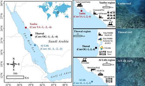 Figure Click here to access/download;Figure;9. Red Sea Coral-Reef... | Download Scientific Diagram