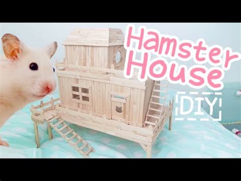 Popsicle Stick House ☆HAMSTER DIY☆ - YouTube