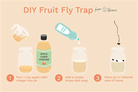 Get Rid of Fruit Flies With a Homemade Fruit Fly Trap