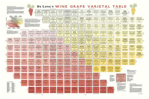 Napa General Store Wine Grape Varietal Table Poster