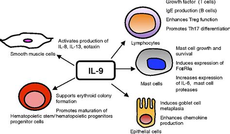 What is the Difference Between Cytokines and Interleukins - Pediaa.Com