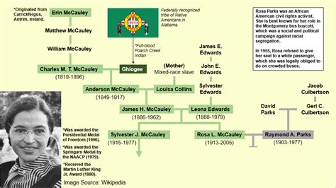 Rosa Parks Family Tree : r/UsefulCharts